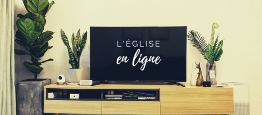ICF en ligne(1)